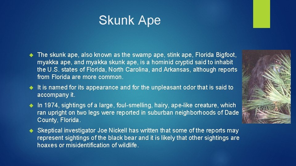 Skunk Ape The skunk ape, also known as the swamp ape, stink ape, Florida