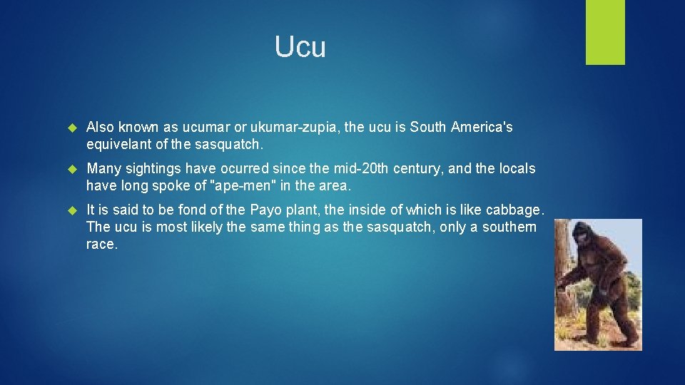 Ucu Also known as ucumar or ukumar-zupia, the ucu is South America's equivelant of