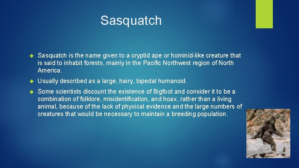Sasquatch is the name given to a cryptid ape or hominid-like creature that is