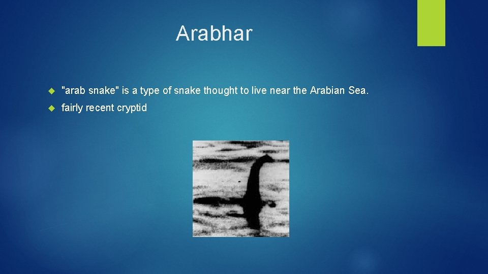 Arabhar "arab snake" is a type of snake thought to live near the Arabian