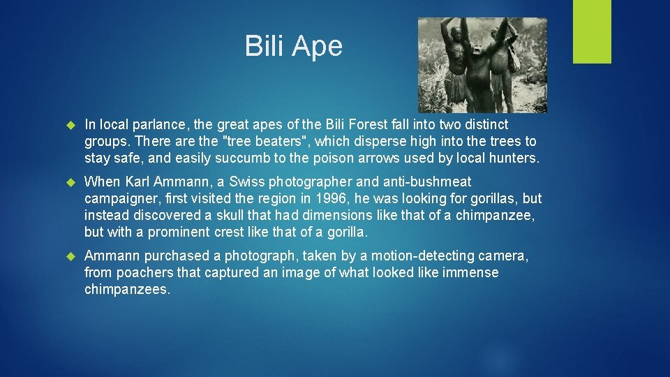 Bili Ape In local parlance, the great apes of the Bili Forest fall into