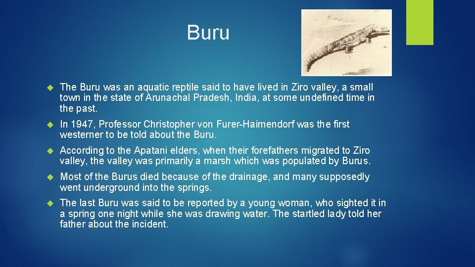 Buru The Buru was an aquatic reptile said to have lived in Ziro valley,