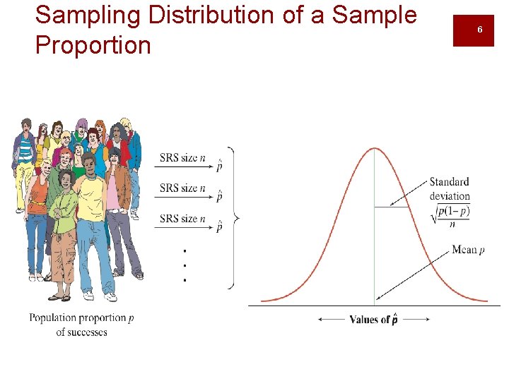 Sampling Distribution of a Sample Proportion As n increases, the sampling distribution becomes approximately