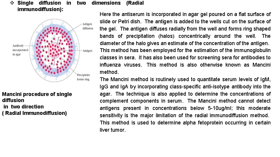  Single diffusion in immunodiffusion): Mancini procedure of single diffusion in two direction (