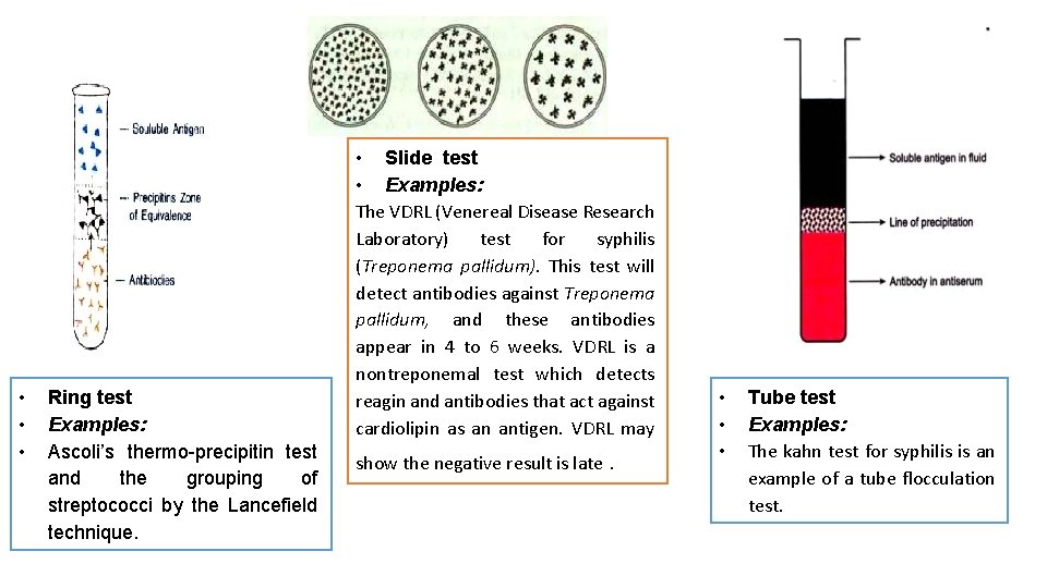  • • • Ring test Examples: Ascoli’s thermo-precipitin test and the grouping of