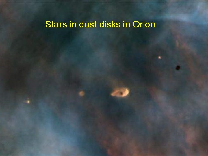 Birth of stars and Stars in dust disks in Orion protoplanetary systems 
