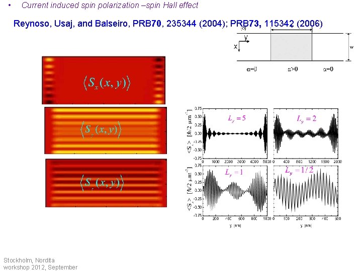  • Current induced spin polarization –spin Hall effect Reynoso, Usaj, and Balseiro, PRB