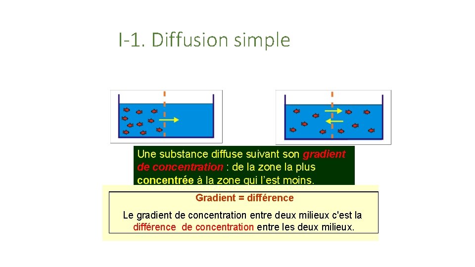 I-1. Diffusion simple Une substance diffuse suivant son gradient de concentration : de la
