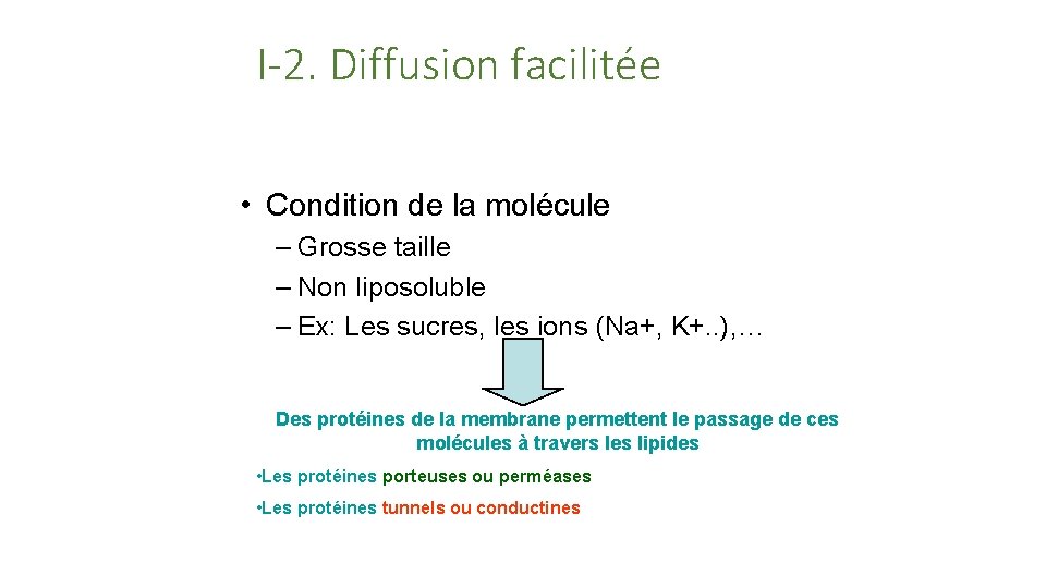 I-2. Diffusion facilitée • Condition de la molécule – Grosse taille – Non liposoluble