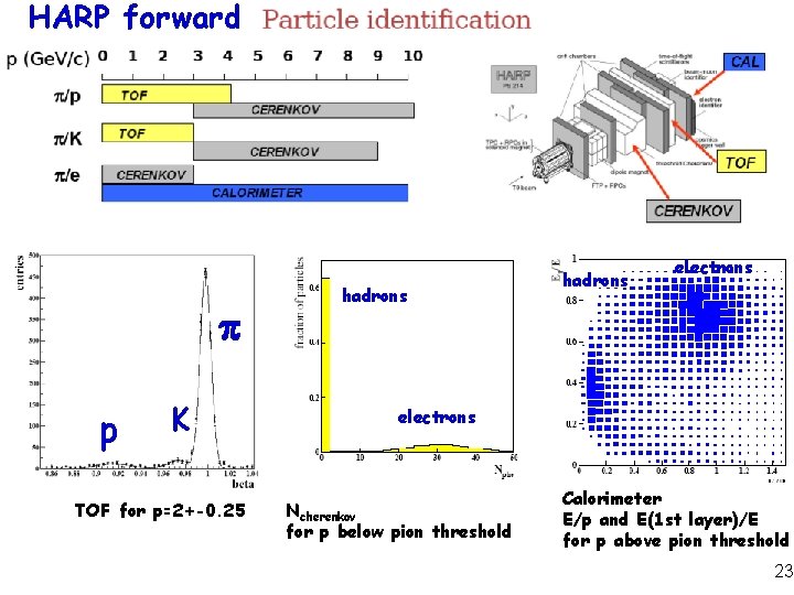 HARP forward p K TOF for p=2+-0. 25 hadrons electrons Ncherenkov for p below