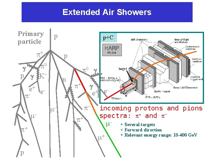 Extended Air Showers Primary particle p + p 0 p e+ p p+C 0
