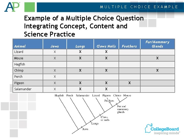MULTIPLE CHOICE EXAMPLE Example of a Multiple Choice Question Integrating Concept, Content and Science