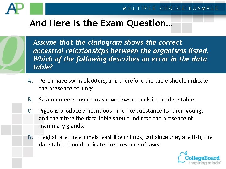 MULTIPLE CHOICE EXAMPLE And Here Is the Exam Question… Assume that the cladogram shows