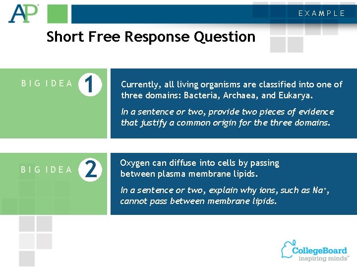 EXAMPLE Short Free Response Question BIG IDEA 1 Currently, all living organisms are classified