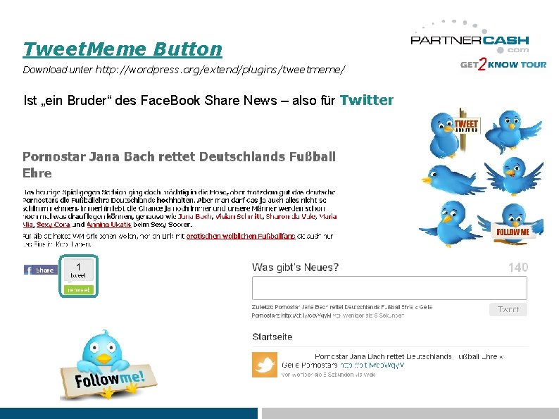 Tweet. Meme Button Download unter http: //wordpress. org/extend/plugins/tweetmeme/ Ist „ein Bruder“ des Face. Book