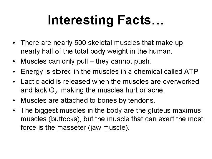 Interesting Facts… • There are nearly 600 skeletal muscles that make up nearly half