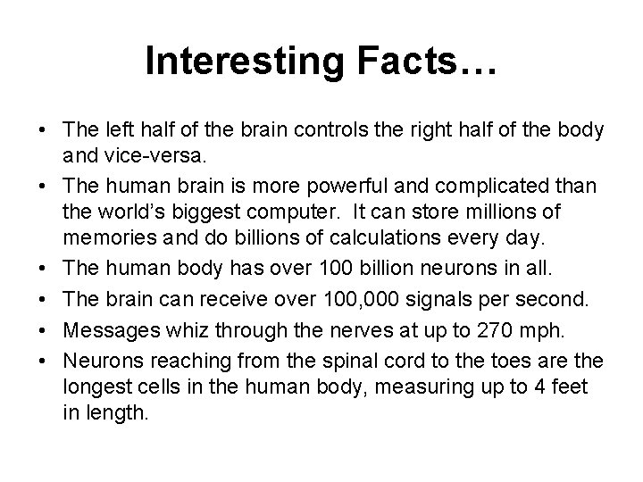 Interesting Facts… • The left half of the brain controls the right half of