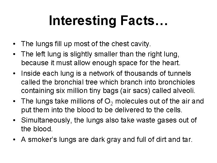 Interesting Facts… • The lungs fill up most of the chest cavity. • The