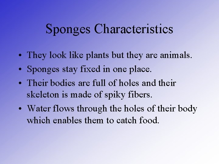 Sponges Characteristics • They look like plants but they are animals. • Sponges stay