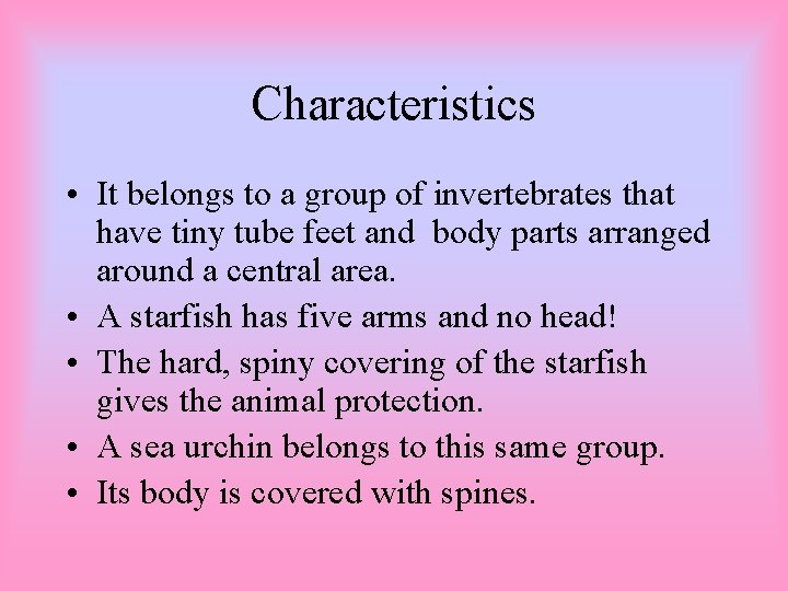 Characteristics • It belongs to a group of invertebrates that have tiny tube feet