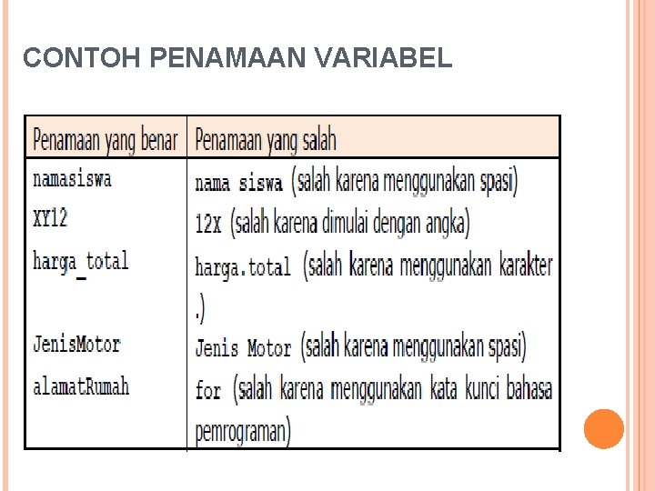 CONTOH PENAMAAN VARIABEL 