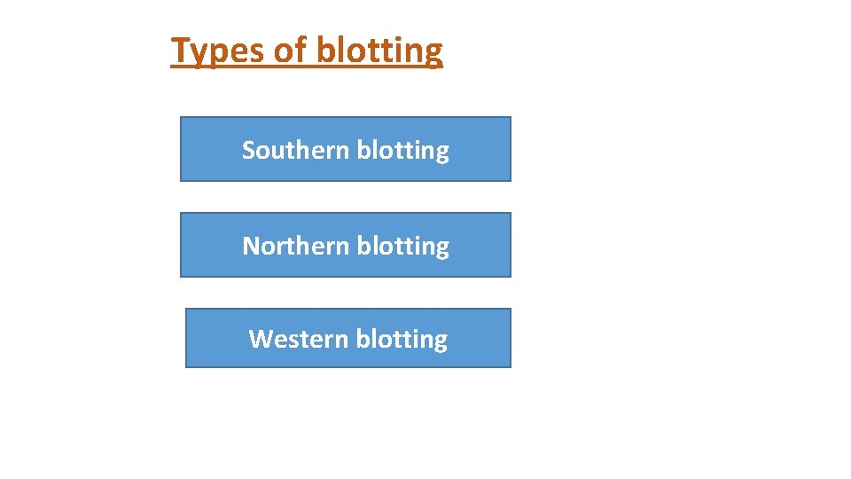 Types of blotting Southern blotting Northern blotting Western blotting 