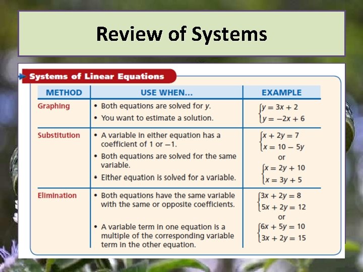 Review of Systems 