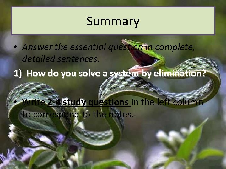 Summary • Answer the essential question in complete, detailed sentences. 1) How do you