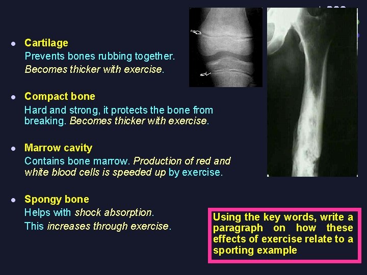 l Cartilage Prevents bones rubbing together. Becomes thicker with exercise. l Compact bone Hard