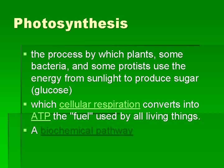 Photosynthesis § the process by which plants, some bacteria, and some protists use the