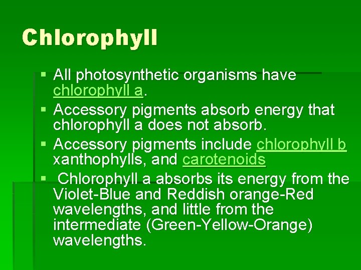 Chlorophyll § All photosynthetic organisms have chlorophyll a. § Accessory pigments absorb energy that