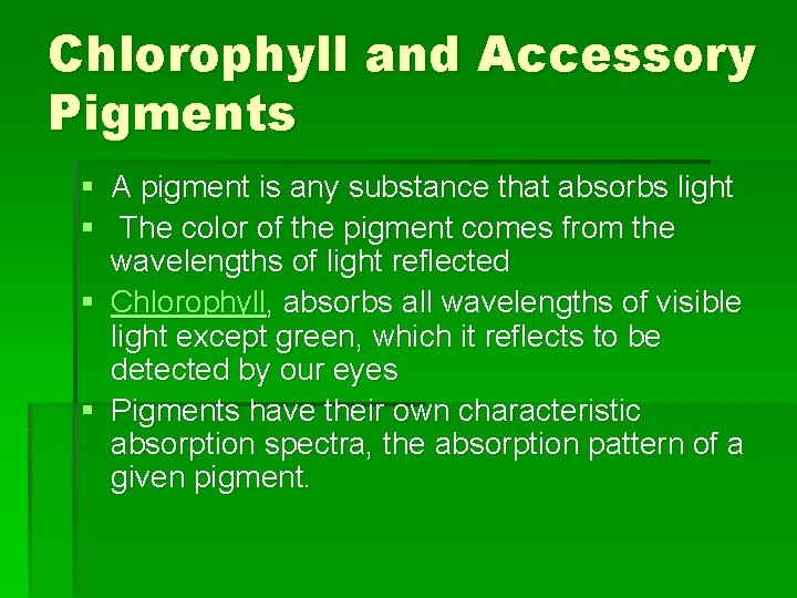 Chlorophyll and Accessory Pigments § A pigment is any substance that absorbs light §