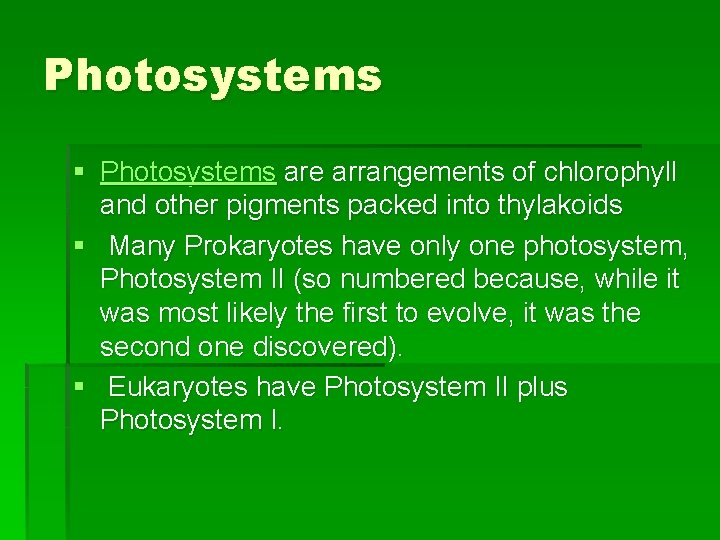 Photosystems § Photosystems are arrangements of chlorophyll and other pigments packed into thylakoids §