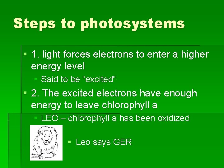 Steps to photosystems § 1. light forces electrons to enter a higher energy level