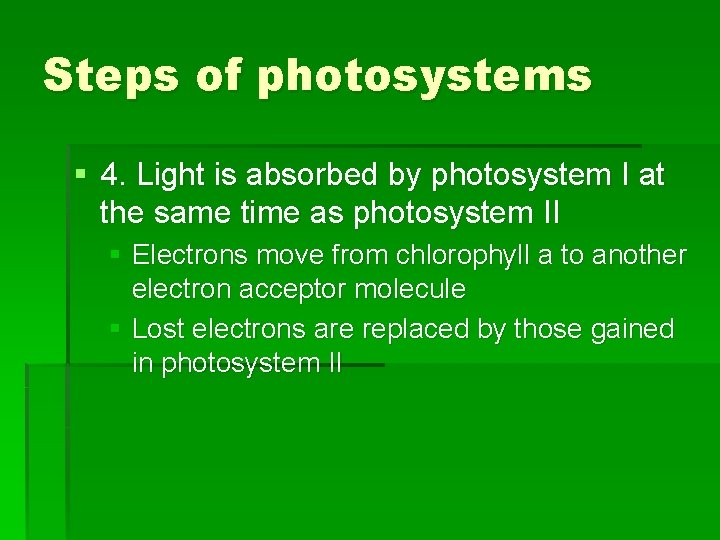 Steps of photosystems § 4. Light is absorbed by photosystem I at the same