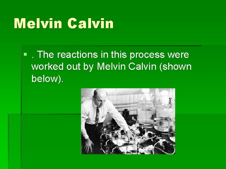 Melvin Calvin §. The reactions in this process were worked out by Melvin Calvin