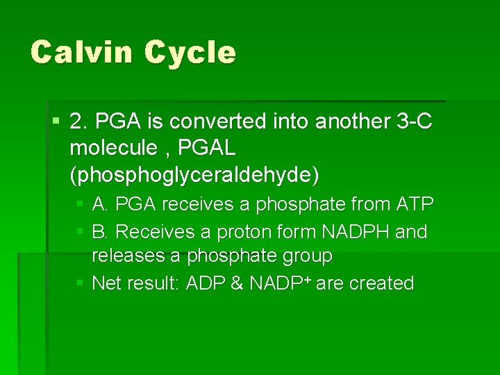 Calvin Cycle § 2. PGA is converted into another 3 -C molecule , PGAL