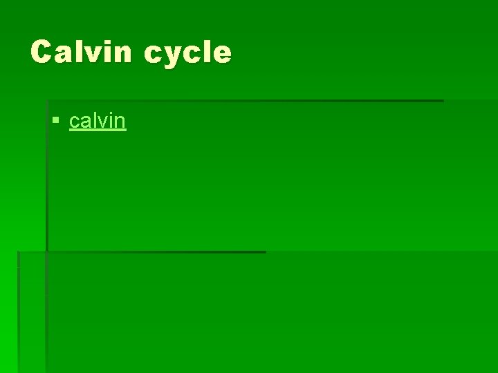 Calvin cycle § calvin 