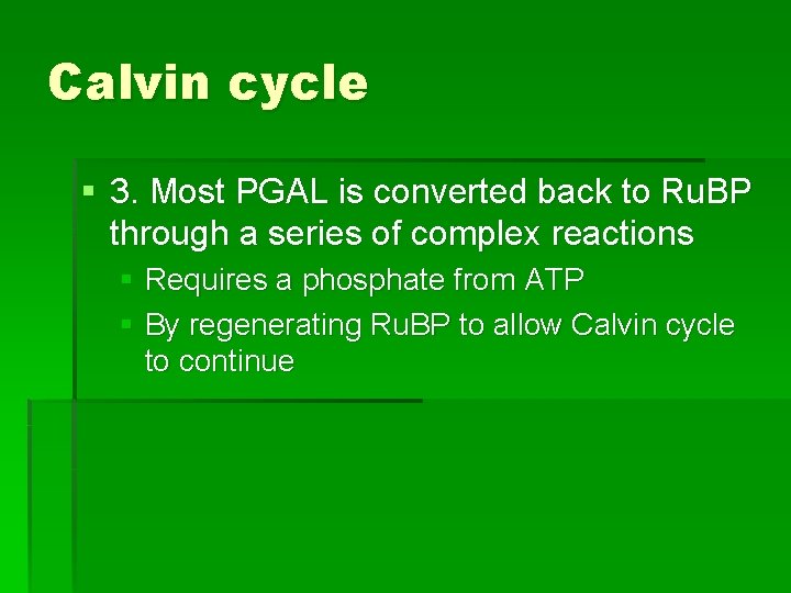 Calvin cycle § 3. Most PGAL is converted back to Ru. BP through a