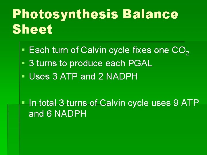 Photosynthesis Balance Sheet § § § Each turn of Calvin cycle fixes one CO