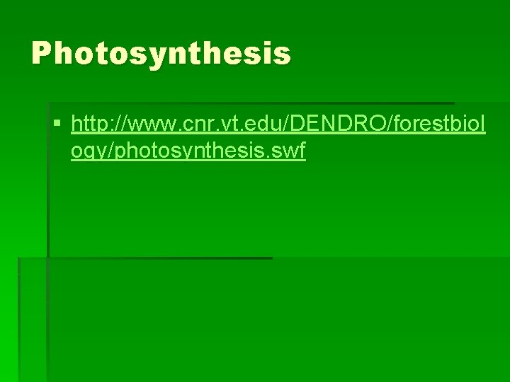 Photosynthesis § http: //www. cnr. vt. edu/DENDRO/forestbiol ogy/photosynthesis. swf 