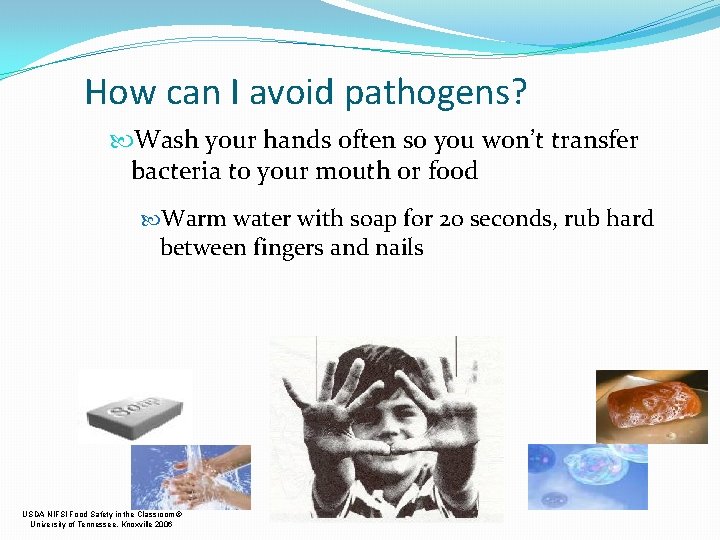 How can I avoid pathogens? Wash your hands often so you won’t transfer bacteria