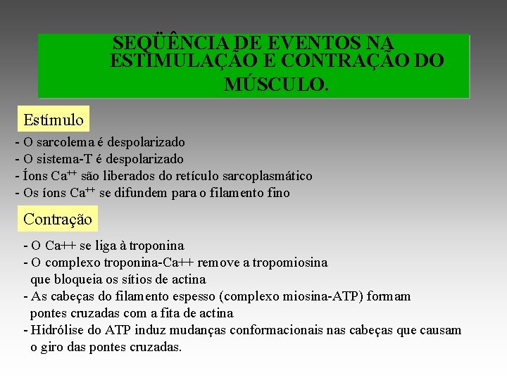 SEQÜÊNCIA DE EVENTOS NA ESTIMULAÇÃO E CONTRAÇÃO DO MÚSCULO. Estímulo - O sarcolema é