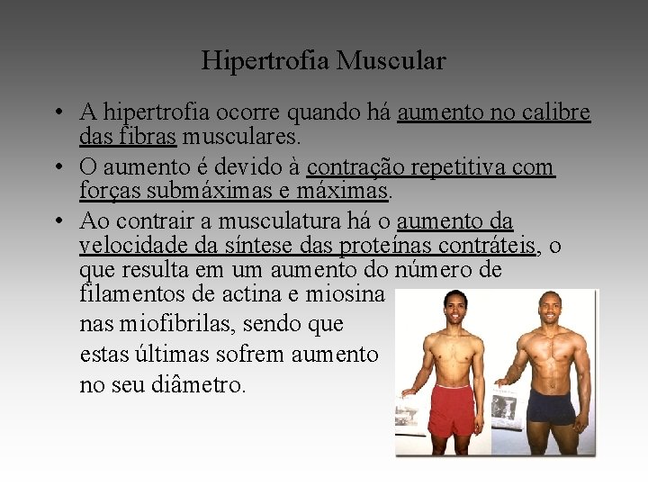 Hipertrofia Muscular • A hipertrofia ocorre quando há aumento no calibre das fibras musculares.