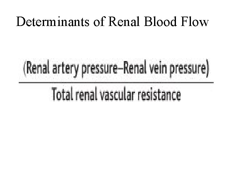 Determinants of Renal Blood Flow 