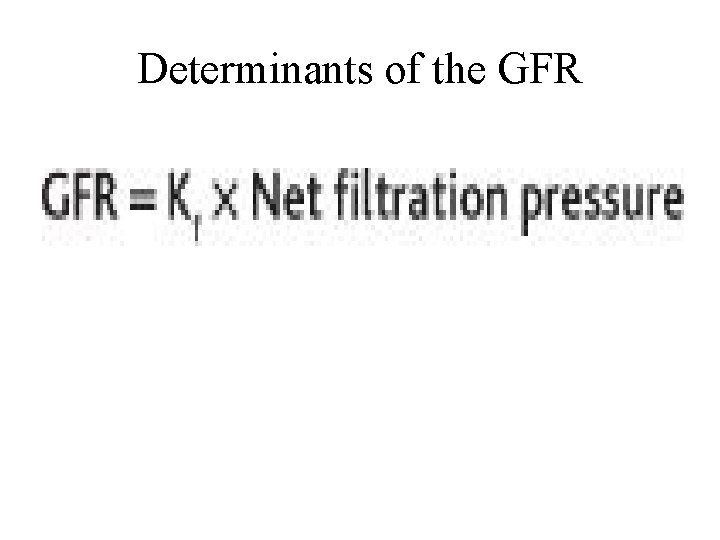 Determinants of the GFR 