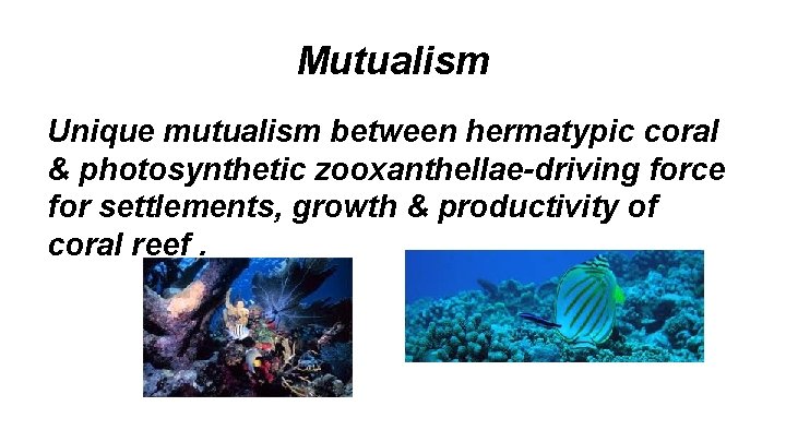 Mutualism Unique mutualism between hermatypic coral & photosynthetic zooxanthellae-driving force for settlements, growth &