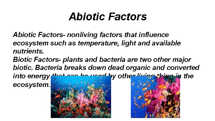 Abiotic Factors- nonliving factors that influence ecosystem such as temperature, light and available nutrients.