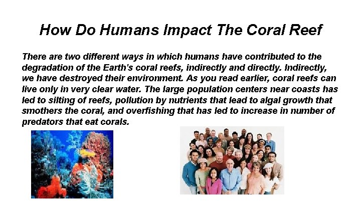 How Do Humans Impact The Coral Reef There are two different ways in which
