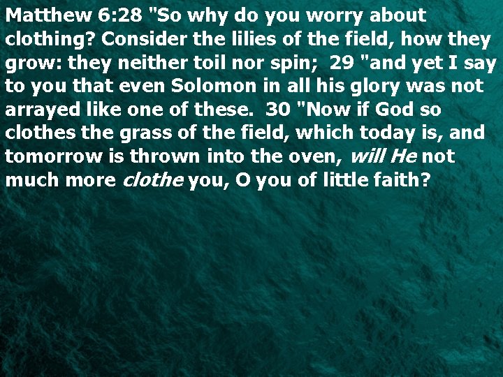 Matthew 6: 28 "So why do you worry about clothing? Consider the lilies of